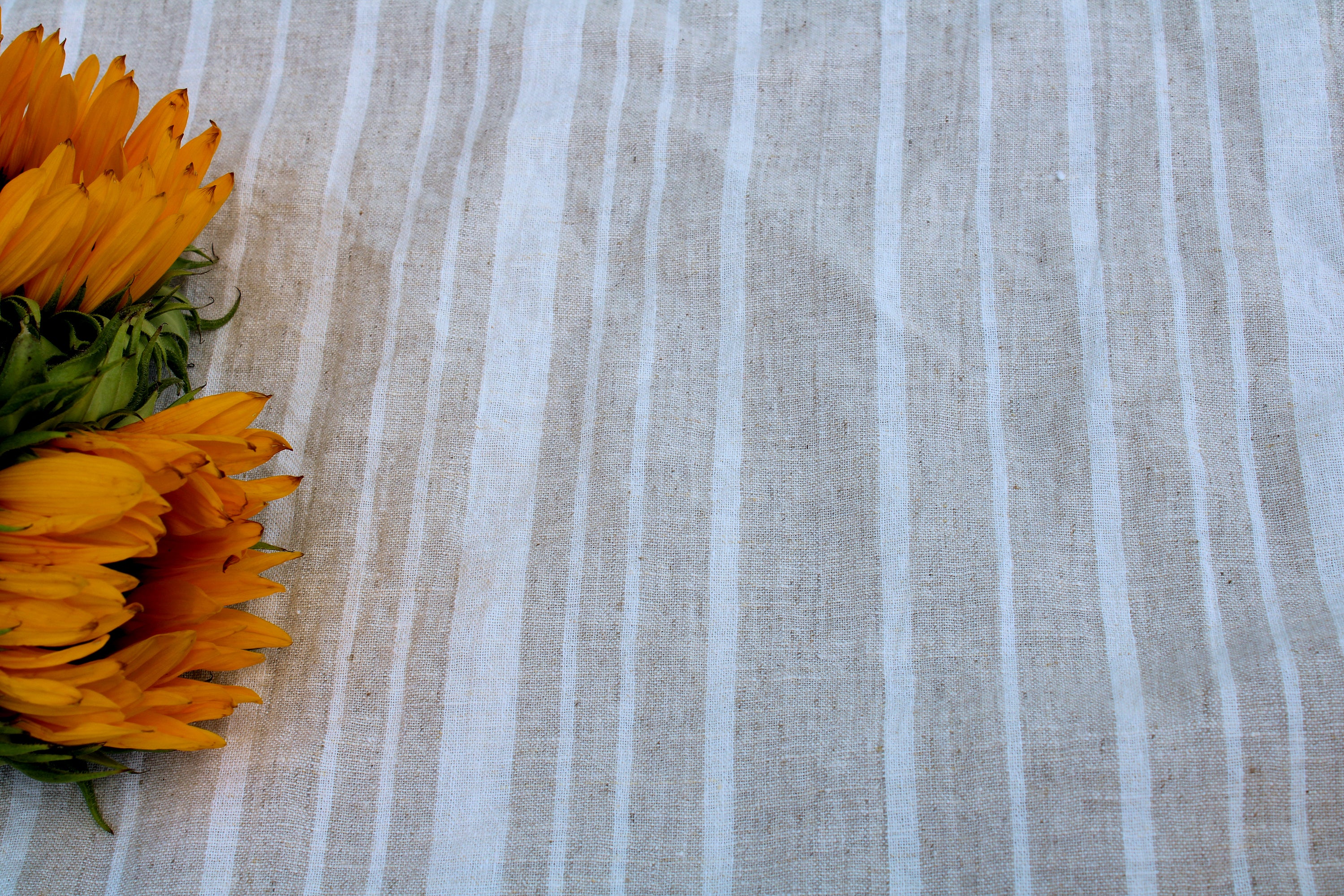Prewashed Extra Wide Beige Striped Linen Cotton Fabric: Curtains, Clothing, Crafts / Buy Linen Online